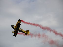 rodenberg2025 71